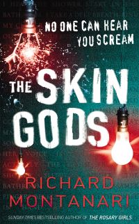 Book Cover for The Skin Gods by Richard Montanari