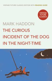 Book Cover for The Curious Incident of the Dog in the Night-Time by Mark Haddon