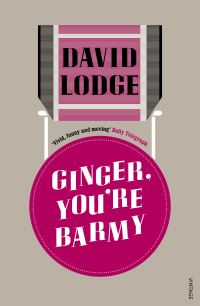 Book Cover for Ginger, You're Barmy by David Lodge