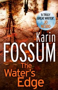 Book Cover for The Water's Edge by Karin Fossum
