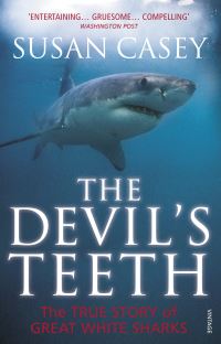Book Cover for The Devil's Teeth by Susan Casey