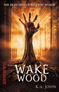 Book Cover for Wake Wood by Katherine John
