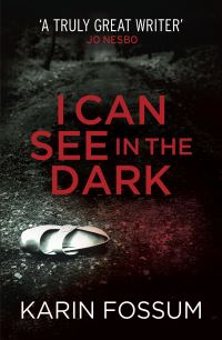 Book Cover for I Can See in the Dark by Karin Fossum