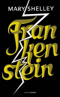 Book Cover for Frankenstein by Mary Wollstonecraft Shelley