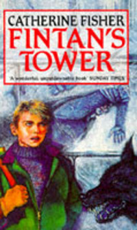 Book Cover for Fintan's Tower by Catherine Fisher