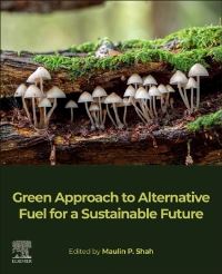 Book Cover for Green Approach to Alternative Fuel for a Sustainable Future by Maulin P Shah