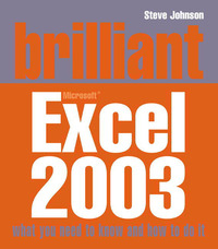 Book Cover for Brilliant Microsoft Excel 2003 by Steve Johnson