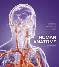 Book Cover for Human Anatomy by Frederic Martini, Robert B Tallitsch, Judi Lindsley Nath