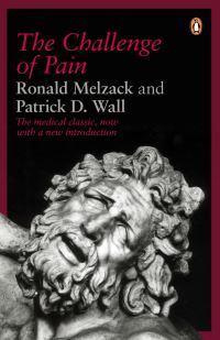 Book Cover for The Challenge of Pain by Ronald Melzack, Patrick D Wall
