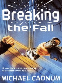 Book Cover for Breaking the Fall by Michael Cadnum