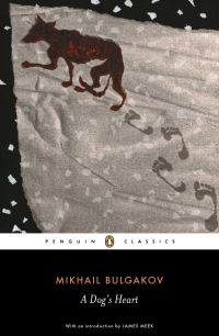 Book Cover for A Dog's Heart by Mikhail Bulgakov, Andrew Bromfield