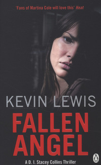 Book Cover for Fallen Angel by Kevin Lewis