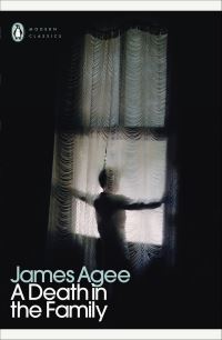 Book Cover for A Death in the Family by James Agee