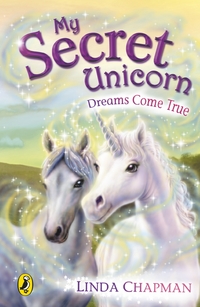 Book Cover for Dreams Come True by Linda Chapman, Biz Hull