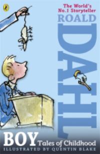 Book Cover for Boy by Roald Dahl