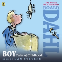 Book Cover for Boy by Roald Dahl