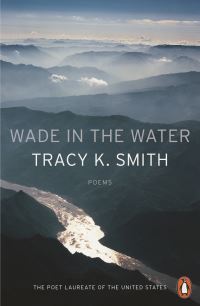 Book Cover for Wade in the Water by Tracy K Smith