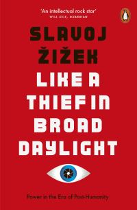 Book Cover for Like a Thief in Broad Daylight by Slavoj Zizek