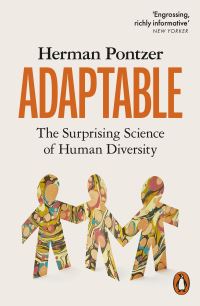 Book Cover for Adaptable by Herman Pontzer