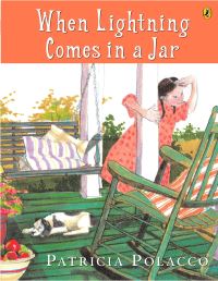 Book Cover for When Lightning Comes in a Jar by Ernest L Polacco
