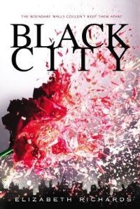 Book Cover for Black City by Elizabeth Richards