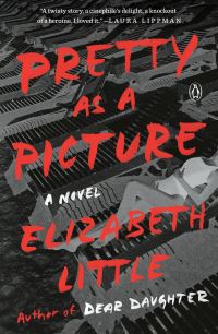 Book Cover for Pretty as a Picture by Elizabeth Little