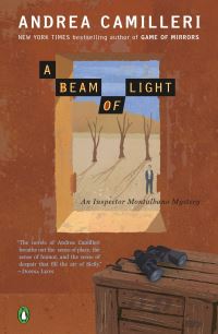 Book Cover for A Beam of Light by Andrea Camilleri