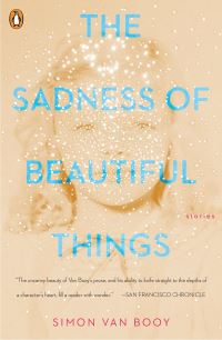 Book Cover for The Sadness of Beautiful Things by Simon Van Booy