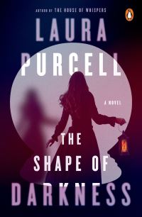 Book Cover for The Shape of Darkness by Laura Purcell