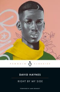 Book Cover for Right by My Side by David Haynes
