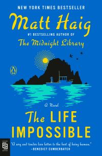 Book Cover for The Life Impossible by Matt Haig