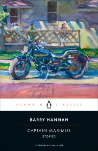 Book Cover for Captain Maximus by Barry Hannah