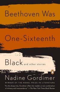 Book Cover for Beethoven Was One Sixteenth Black by Nadine Gordimer