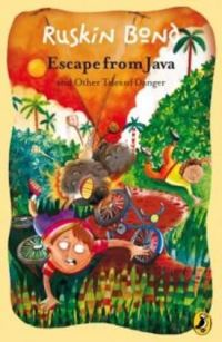 Book Cover for Escape from Java by Jeanne Perrett