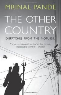Book Cover for The Other Country by Mahmood Farooqui