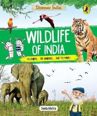 Book Cover for Discover India by Sonia Mehta