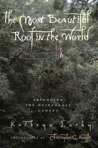 Book Cover for The Most Beautiful Roof in the World by Kathryn Lasky