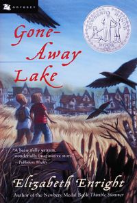 Book Cover for Gone-Away Lake by Elizabeth Enright