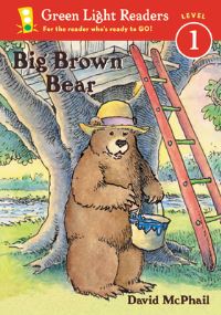 Book Cover for Big Brown Bear by David McPhail