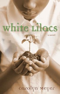 Book Cover for White Lilacs by Carolyn Meyer