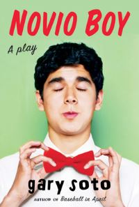 Book Cover for Novio Boy by Gary Soto