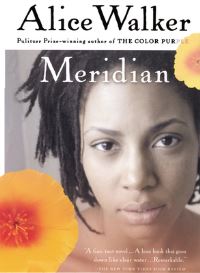 Book Cover for Meridian by Alice Walker