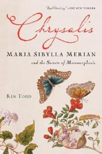 Book Cover for Chrysalis by Kim Todd