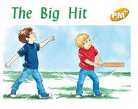 Book Cover for The Big Hit by 