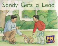 Book Cover for SAndy Gets a Lead by 