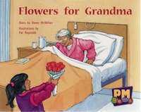 Book Cover for Flowers for Grandma by 