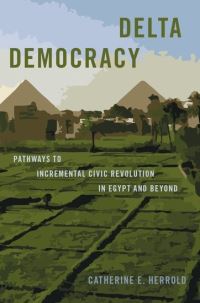 Book Cover for Delta Democracy by Catherine Herrold
