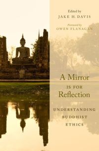 Book Cover for A Mirror Is for Reflection by Jake H Davis
