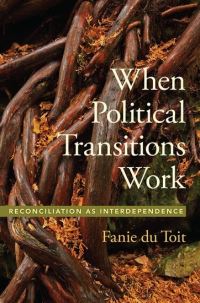 Book Cover for When Political Transitions Work by Fanie Du Toit