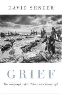 Book Cover for Grief by David Shneer